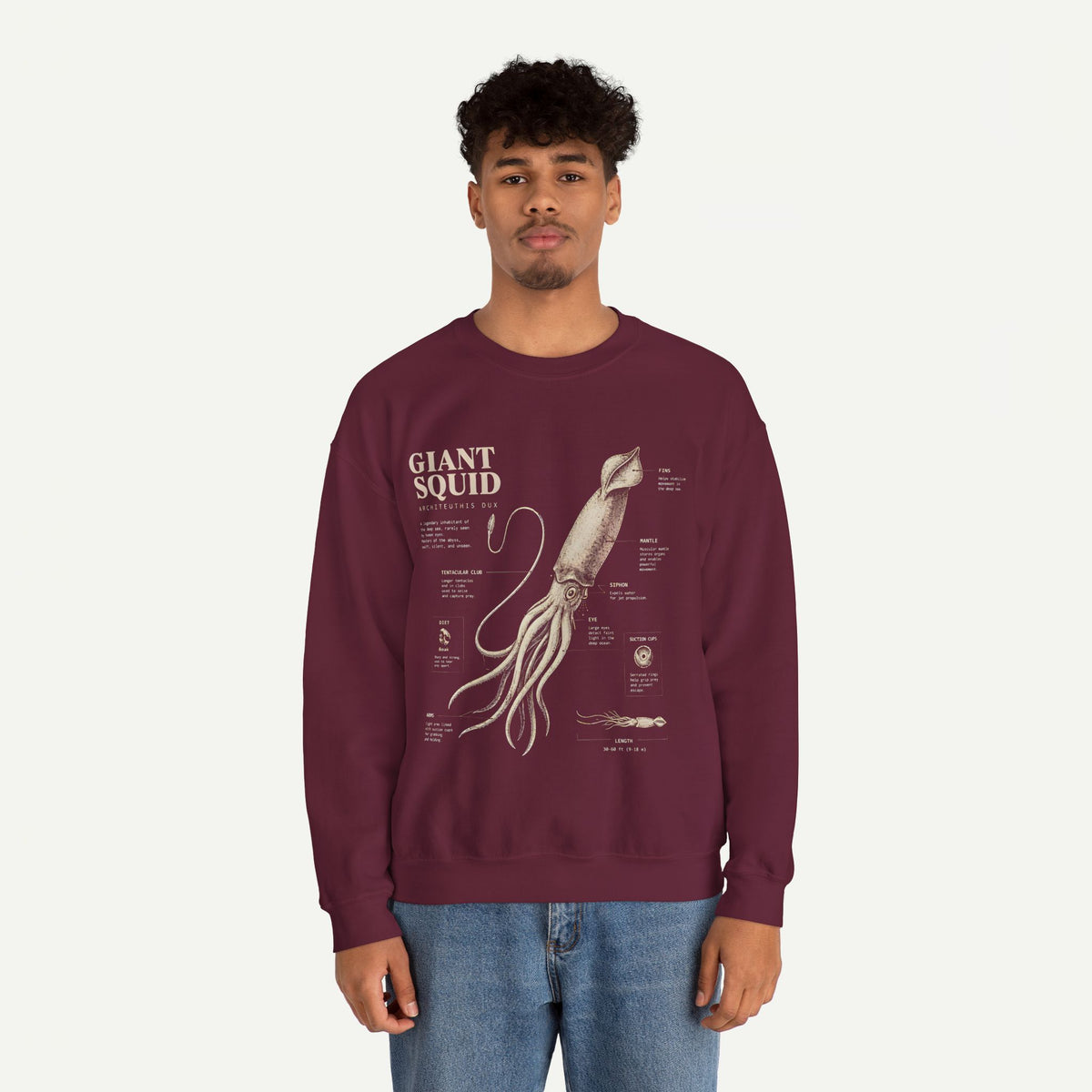 Giant Squid Anatomy Sweatshirt — Vintage Nautical Marine Biology Crewneck