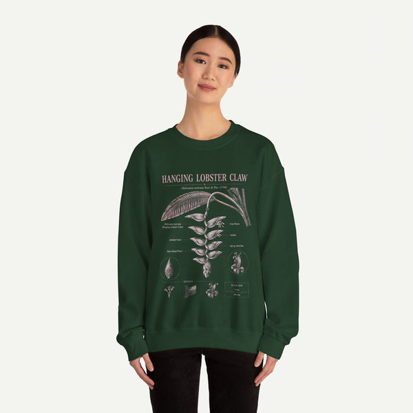 Botanical 'Hanging Lobster Claw' Sweatshirt – Vintage Tropical Plant Illustration