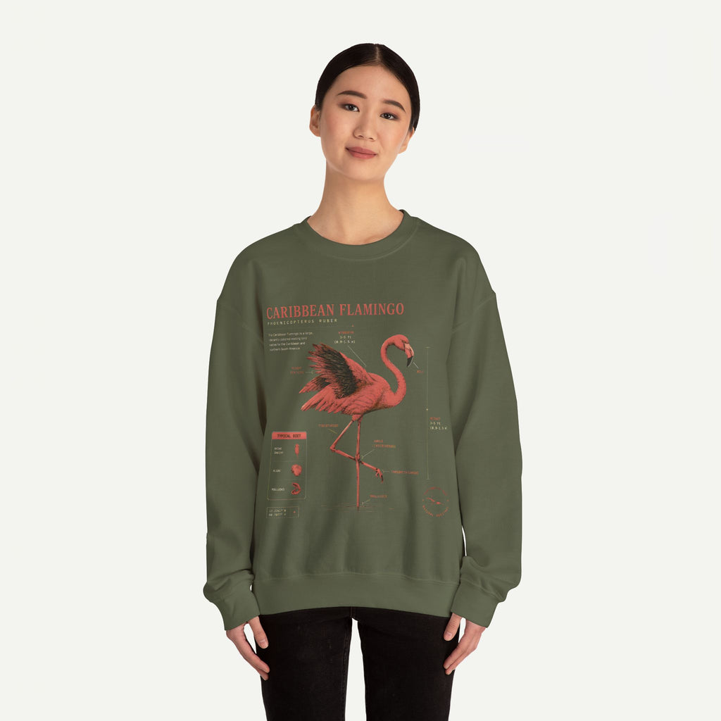 Flamingo Anatomy Field Guide Crewneck Sweatshirt