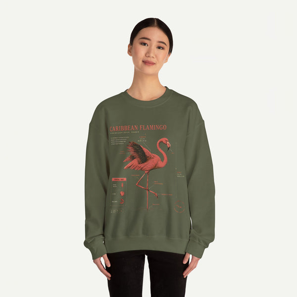 Flamingo Anatomy Field Guide Crewneck Sweatshirt
