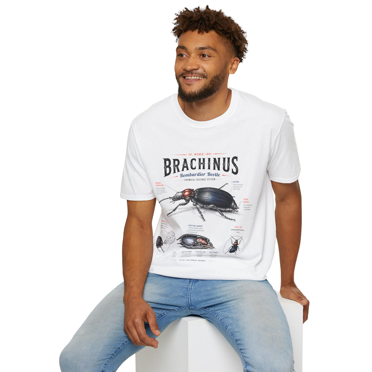 Brachinus Bombardier Beetle Anatomy T-Shirt — Vintage Entomology Graphic Tee