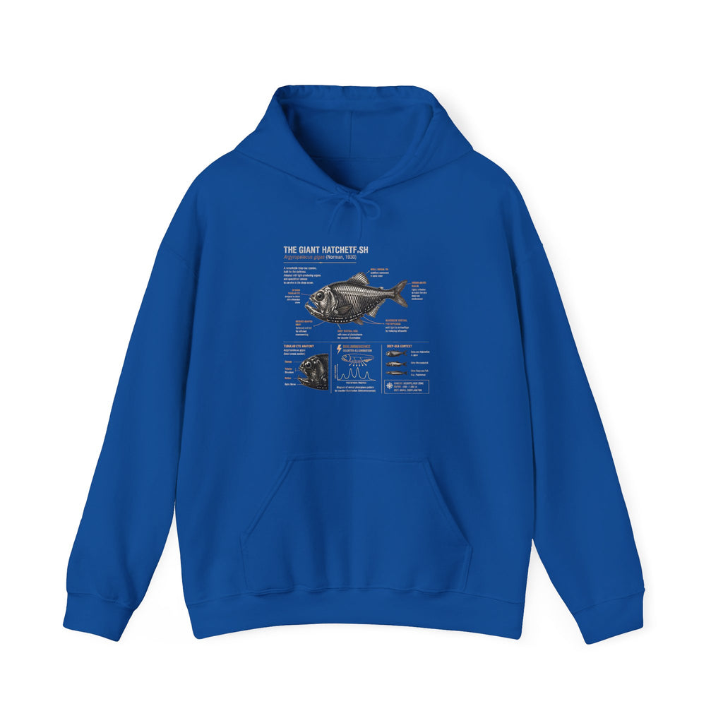 Blackfish Anatomy Hoodie – Fish Identification Diagram Sweatshirt
