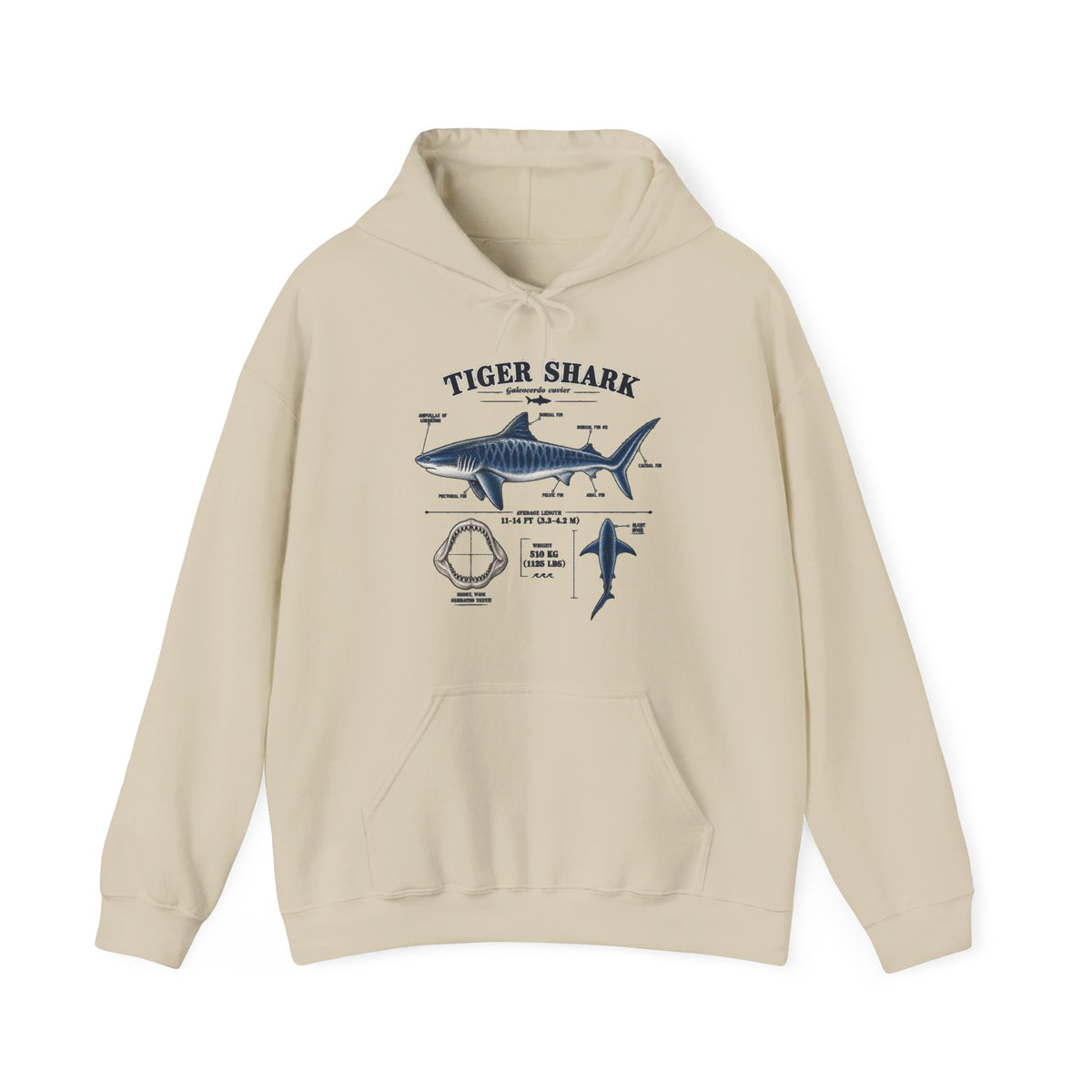 Tiger Shark Anatomy Hoodie — Nautical Science Graphic Pullover