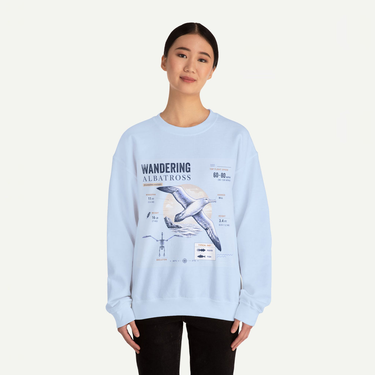 Wandering Albatross Anatomy Sweatshirt — Vintage Seabird Illustration