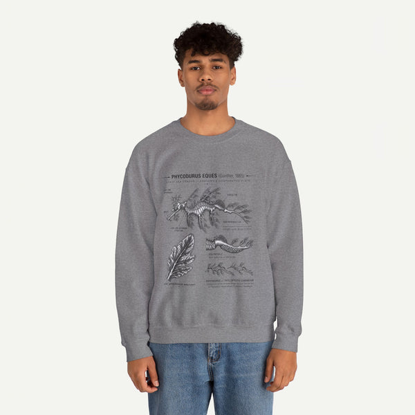 Botanical Anatomy Sweatshirt — Vintage Phycodurus Eques Seaweed Illustration