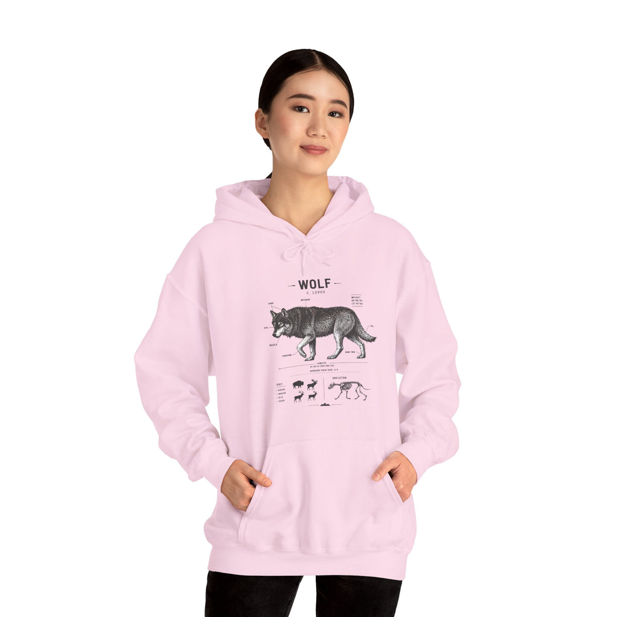 Wolf Anatomy Hoodie – Vintage Wildlife Diagram Sweatshirt