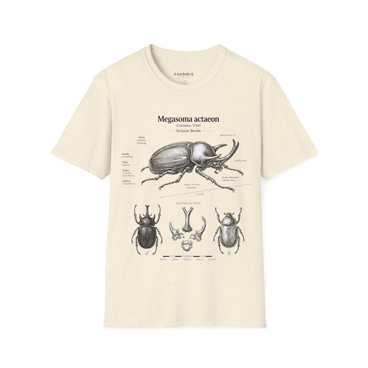 Beetle Anatomy T-Shirt — Megasoma actaeon Scientific Illustration Tee