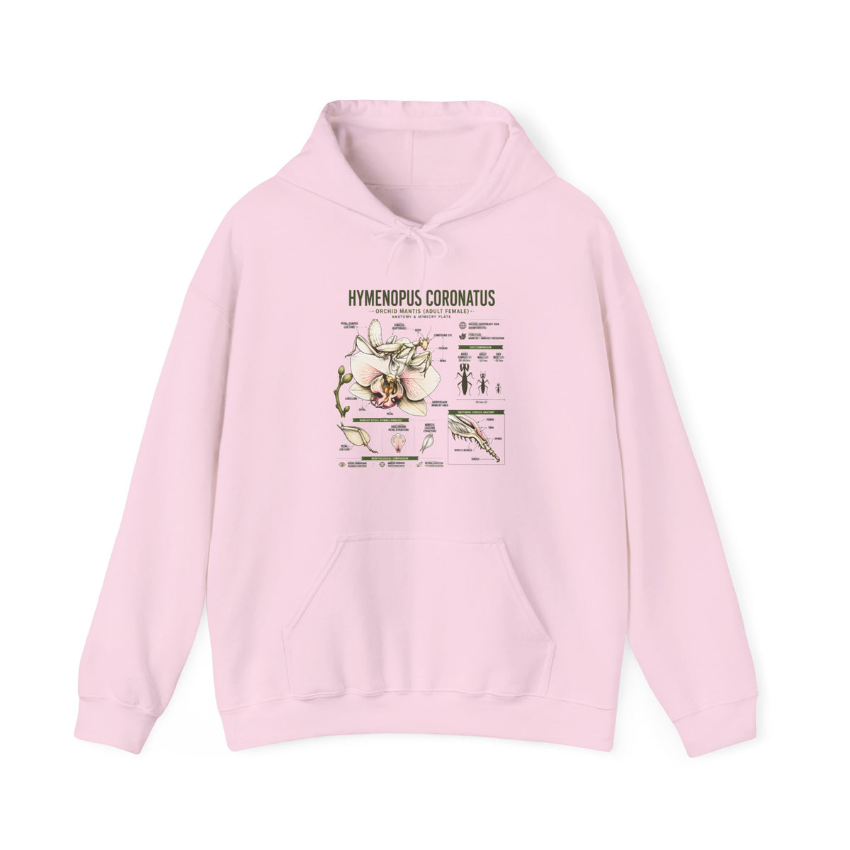 Botanical Hooded Sweatshirt — Hymenopus Coronatus Praying Mantis Illustration