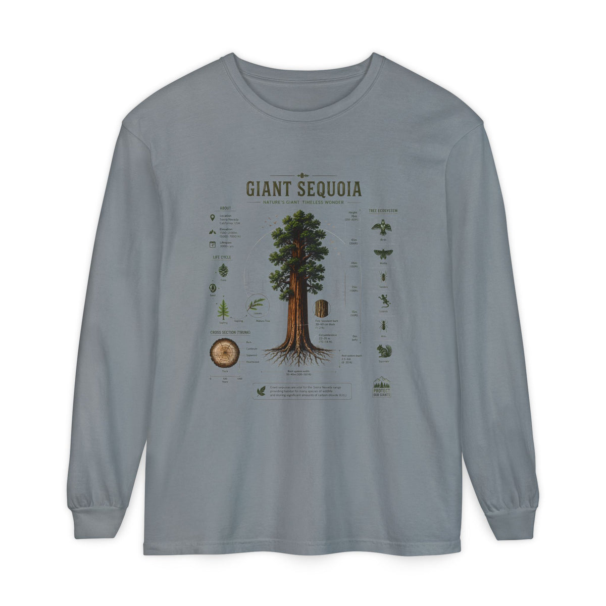 Giant Sequoia Anatomy Long Sleeve Tee Main image