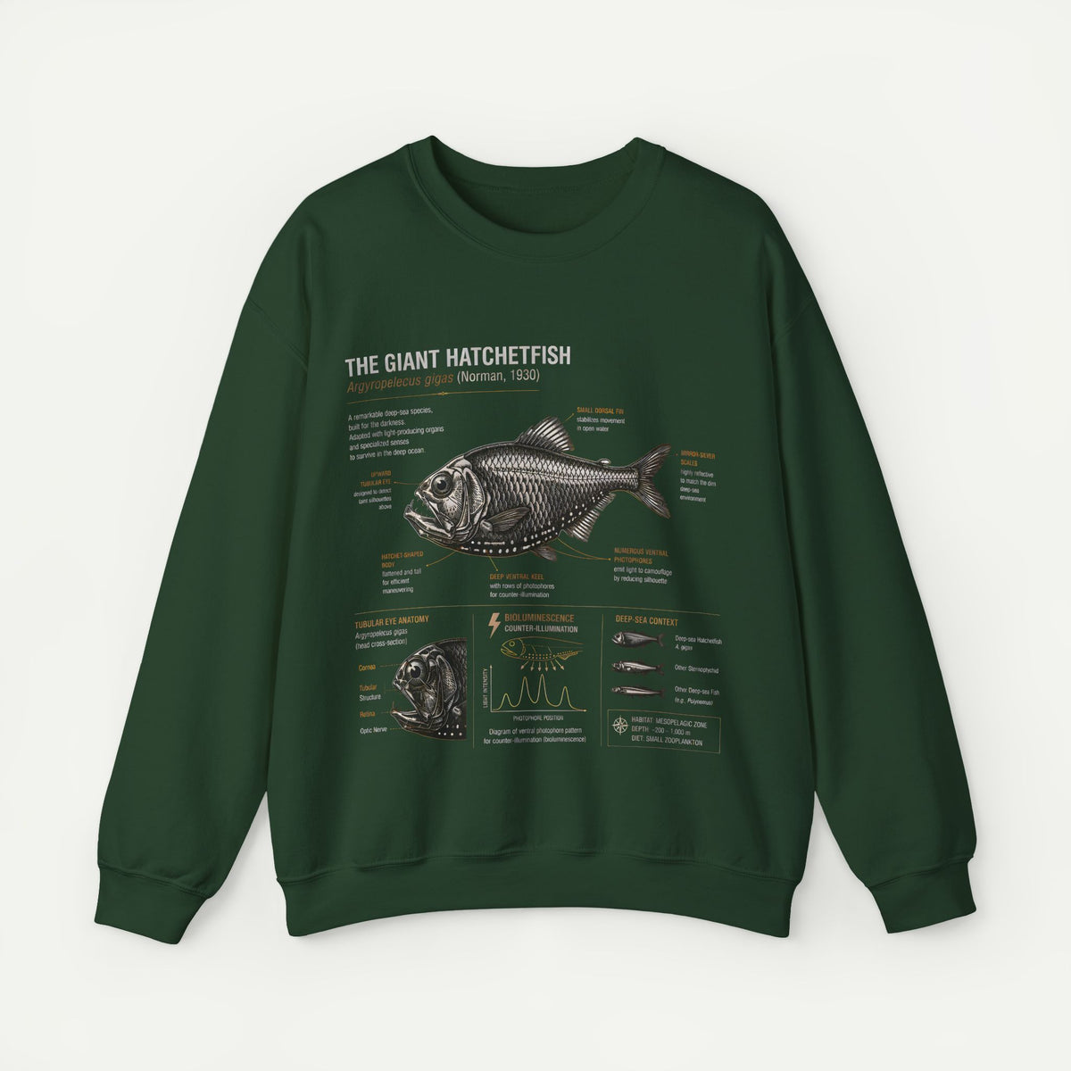 Hatchetfish Anatomy Sweatshirt — The Giant Hatchetfish Marine Science Crewneck