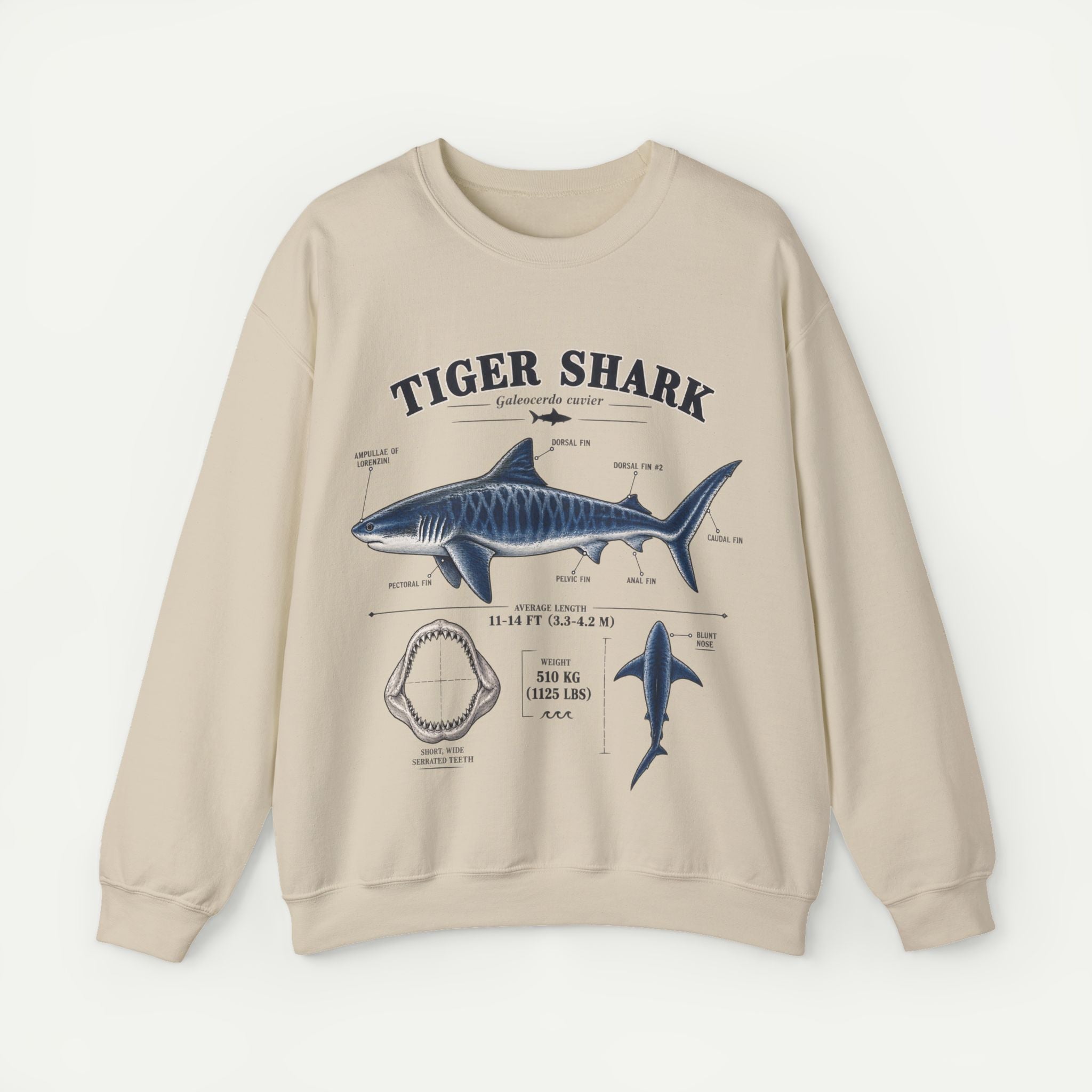 Tiger Shark Anatomy Sweatshirt Secondary image