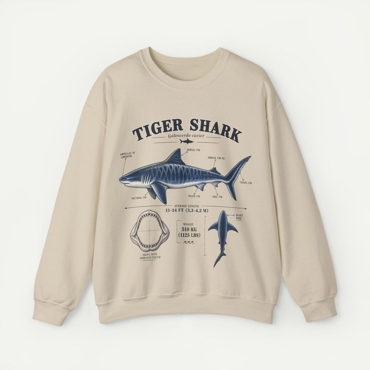 Tiger Shark Anatomy Sweatshirt