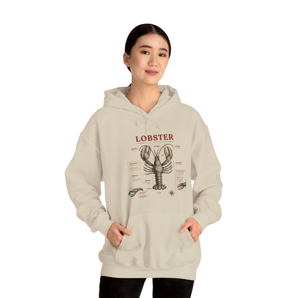 Lobster Anatomy Hoodie – Nautical Seafood Illustration Pullover