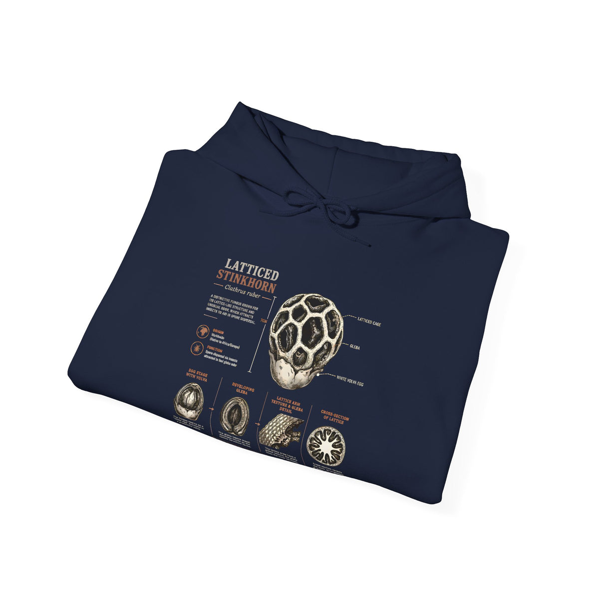 Hoodie — Mushroom Anatomy Chart Graphic Hoodie
