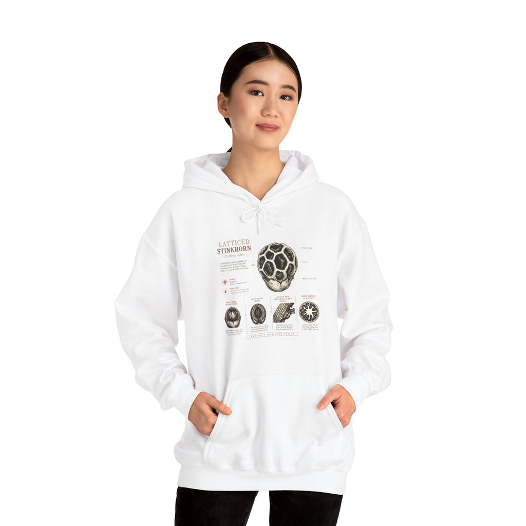 Hoodie — Mushroom Anatomy Chart Graphic Hoodie