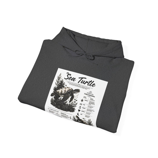 Sea Turtle Hoodie – Vintage Ocean Conservation Graphic Sweatshirt