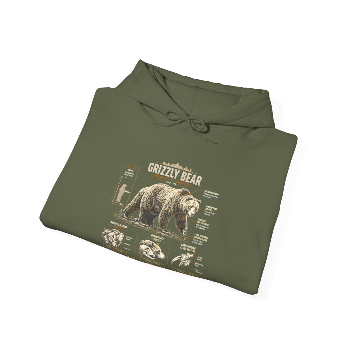 Hoodie — Vintage Bear Anatomy Graphic Hoodie