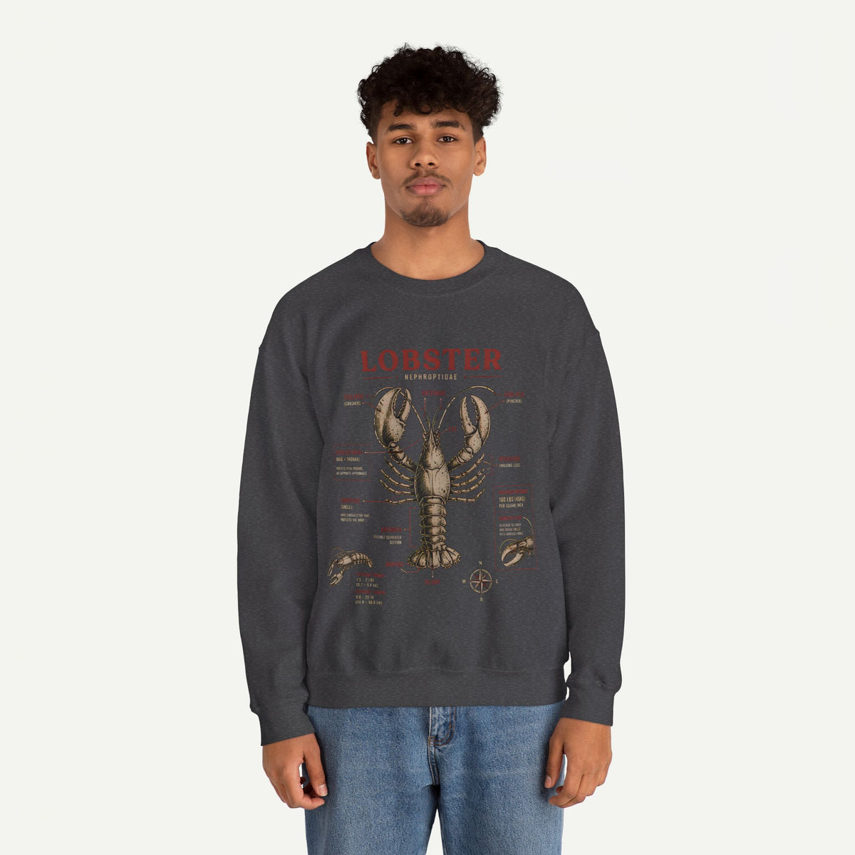 Lobster Anatomy Crewneck Sweatshirt