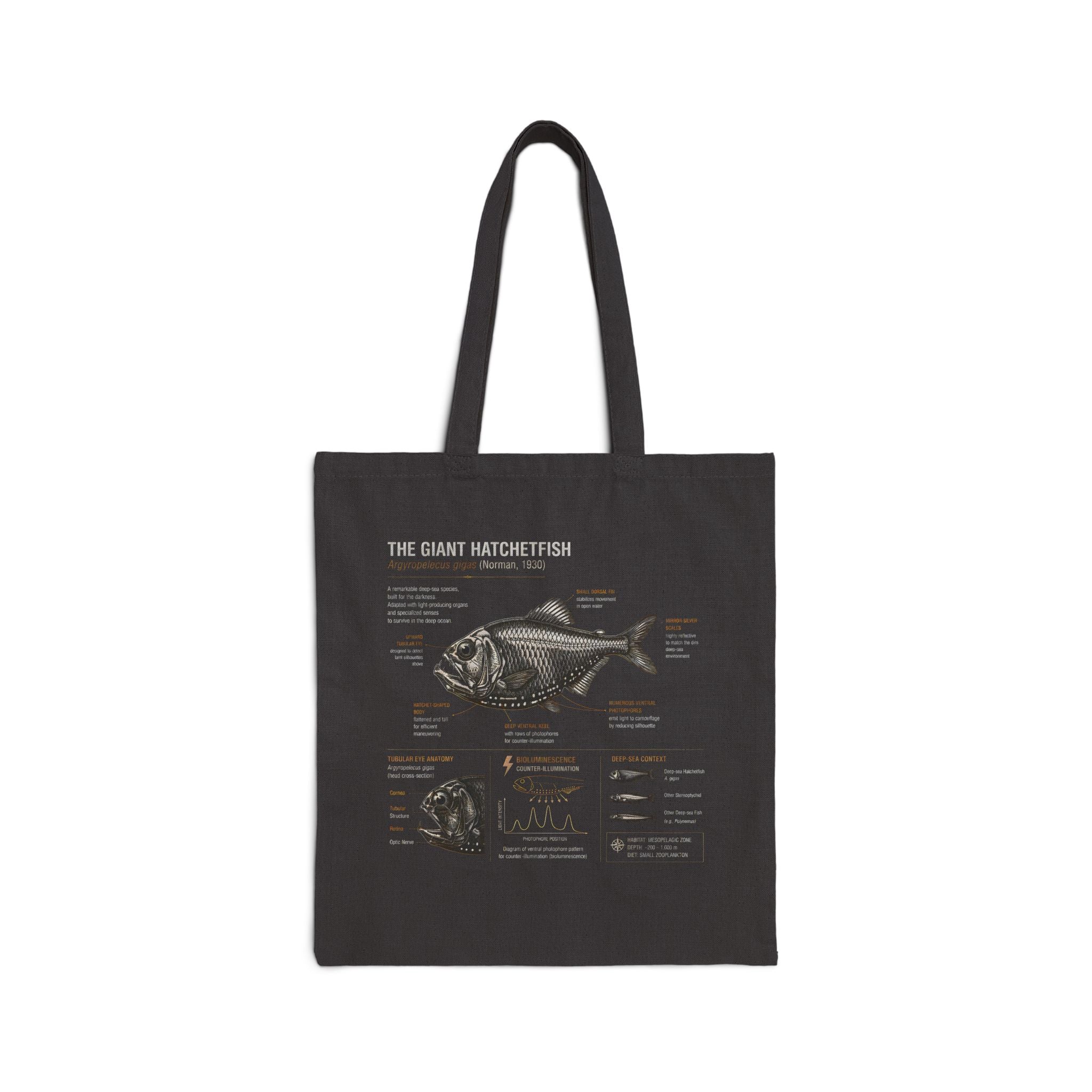 Fish Anatomy Canvas Tote — Vintage Scientific Illustration Cotton Bag Secondary image