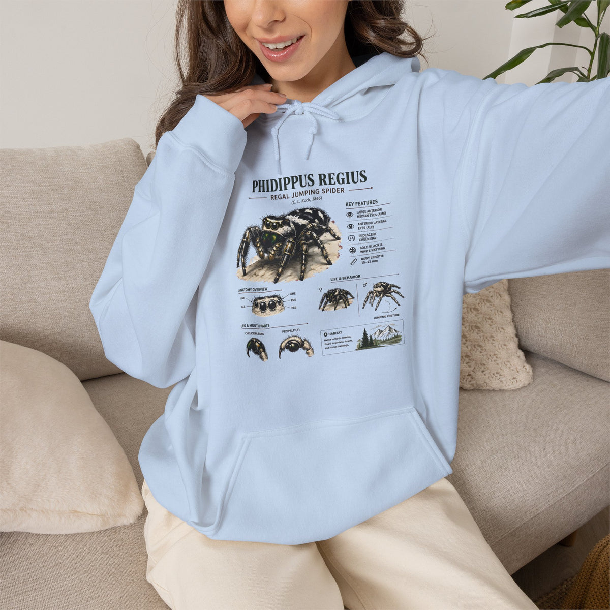 Tarantula Species Hoodie — Phidippus Regius Educational Spider Sweatshirt