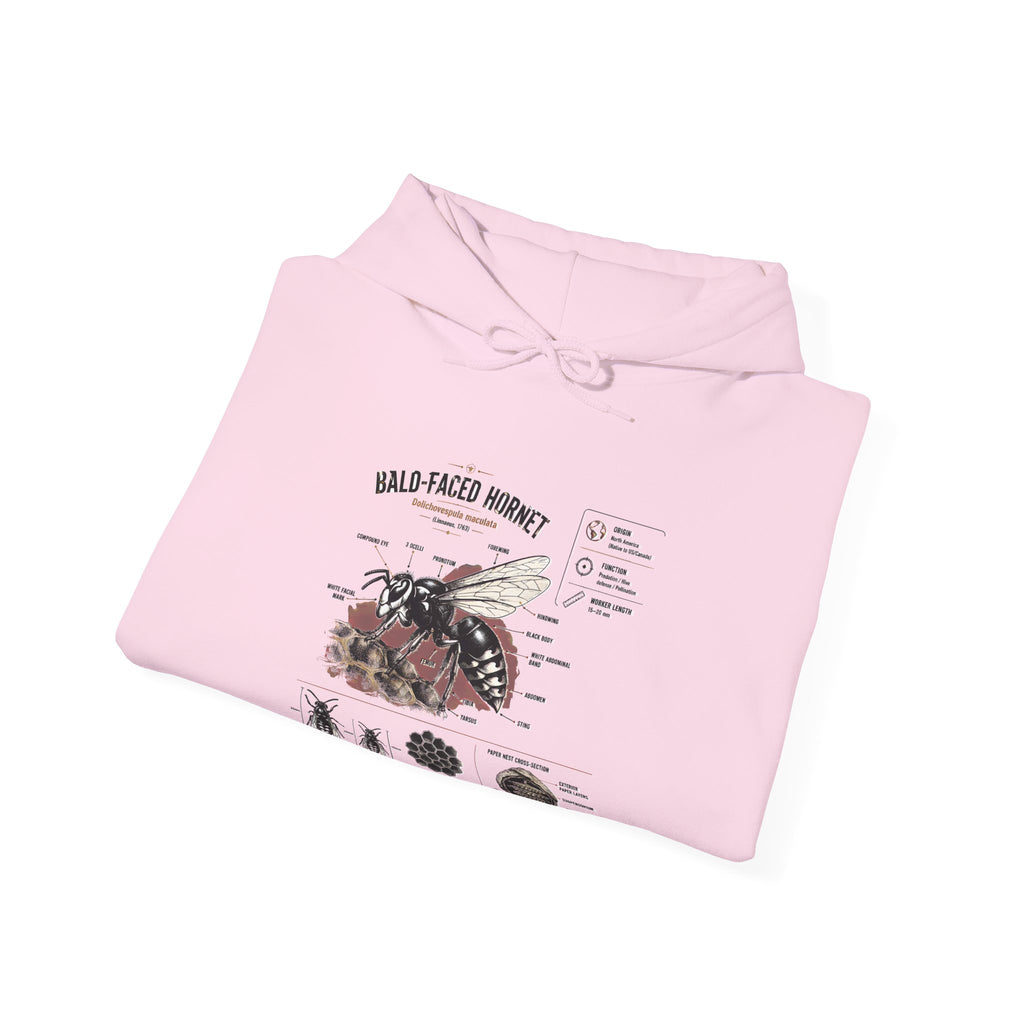 Bee Anatomy Hoodie — Bald-Faced Hornet Illustration & Diagram Sweatshirt