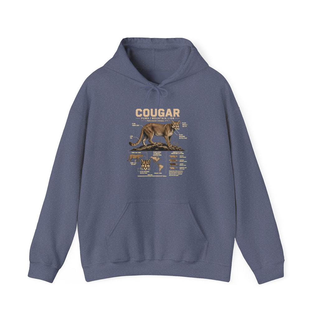 Cougar Anatomy Hoodie — Vintage Wildlife Diagram Pullover for Nature Lovers