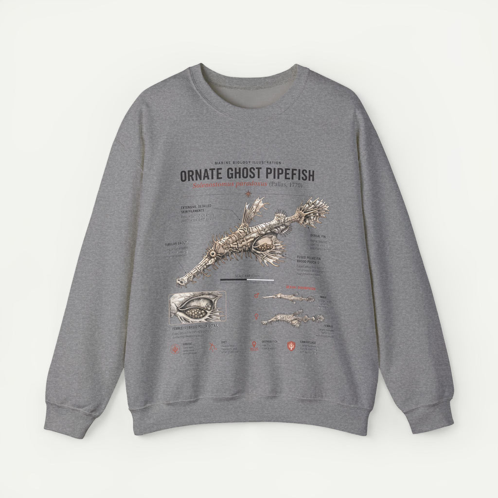 Ornate Ghost Pipefish Anatomy Sweatshirt