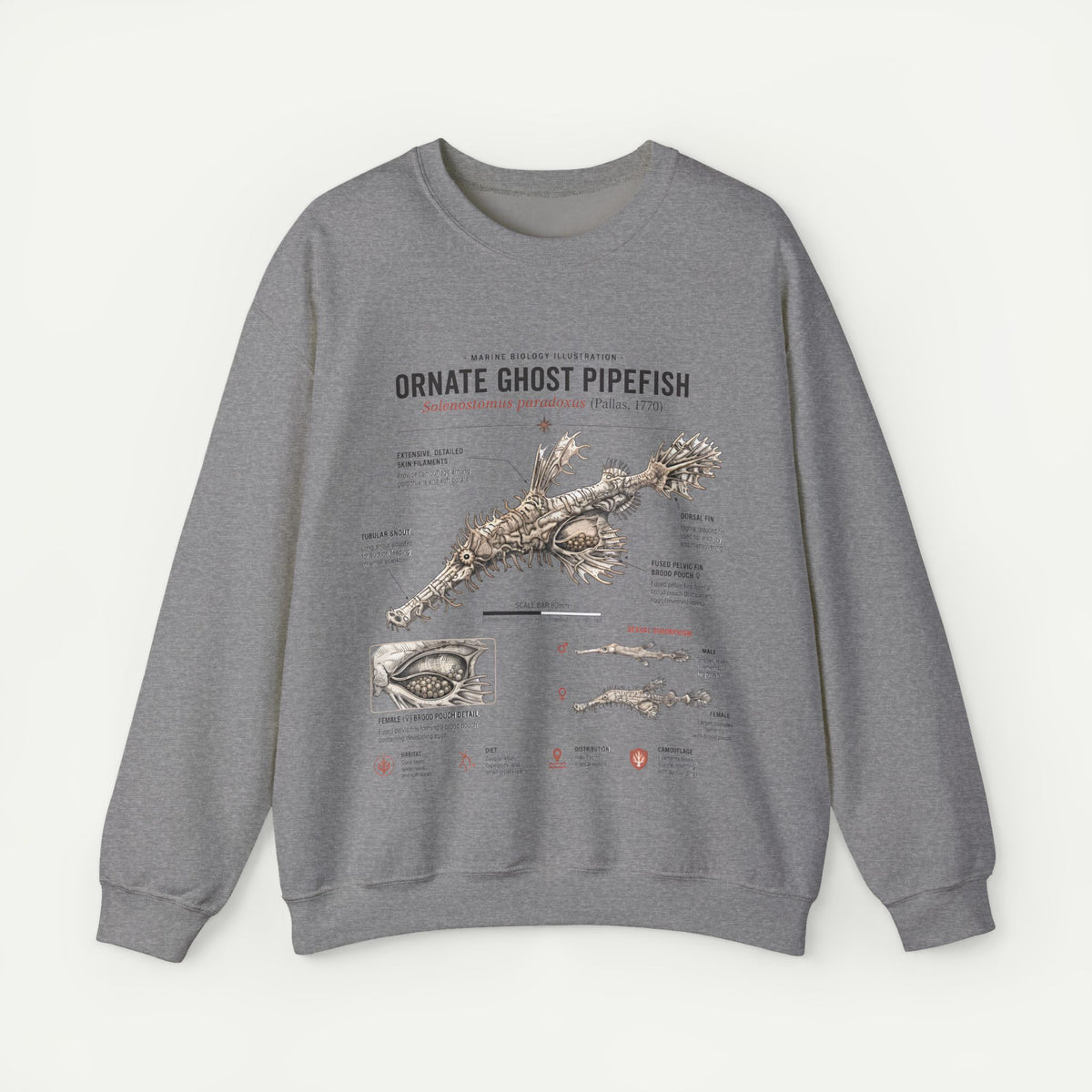 Ornate Ghost Pipefish Anatomy Sweatshirt