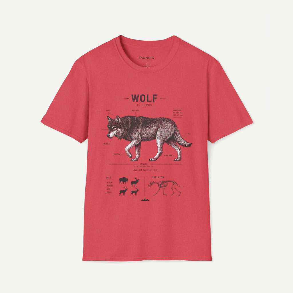 Wolf Anatomy T-Shirt — Vintage Scientific Illustration Tee