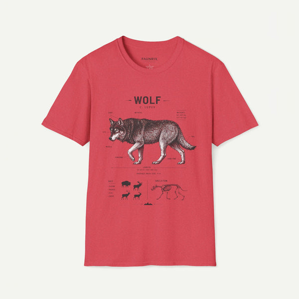 Wolf Anatomy T-Shirt — Vintage Scientific Illustration Tee