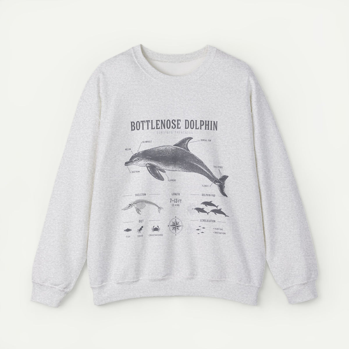 Bottlenose Dolphin Sweatshirt – Marine Life Educational Graphic