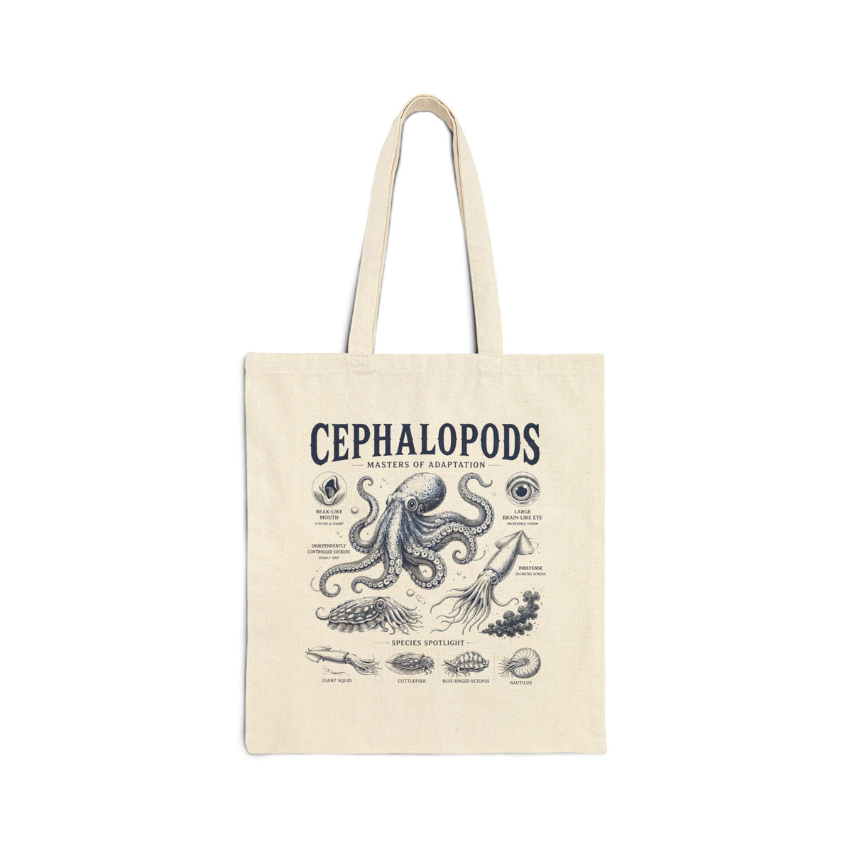 Cephalopods Anatomy Cotton Tote — Vintage Octopus Illustration Eco Grocery Bag Main image