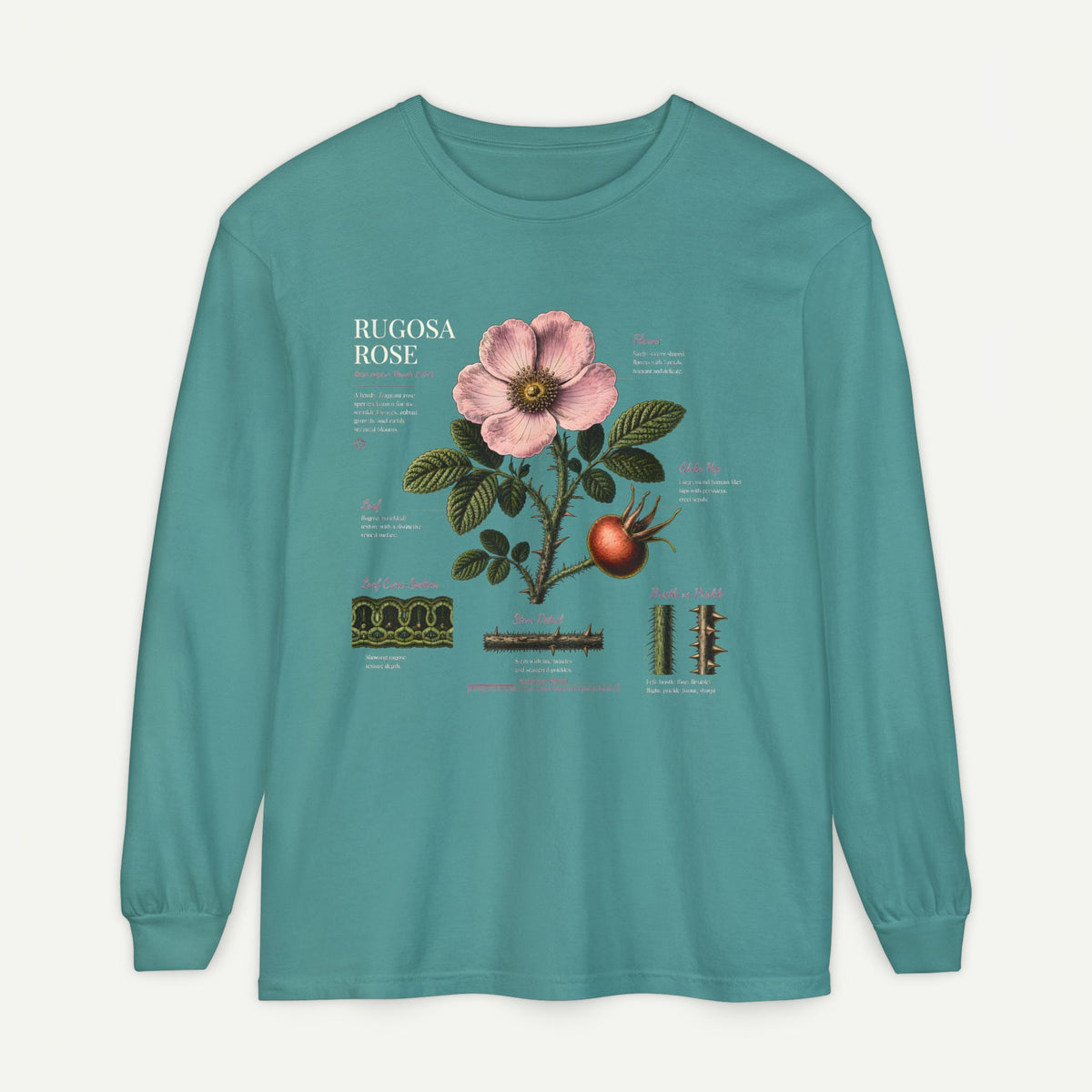 Botanical Rose Diagram Long Sleeve T-Shirt Main image