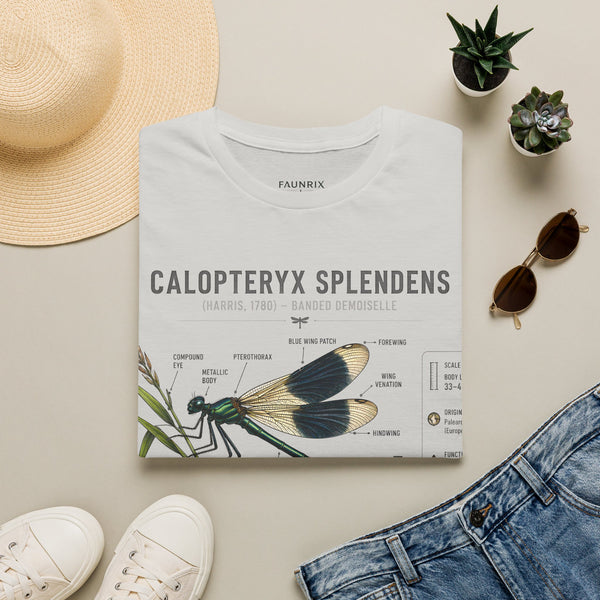 Calopteryx Splendens Anatomy T-Shirt