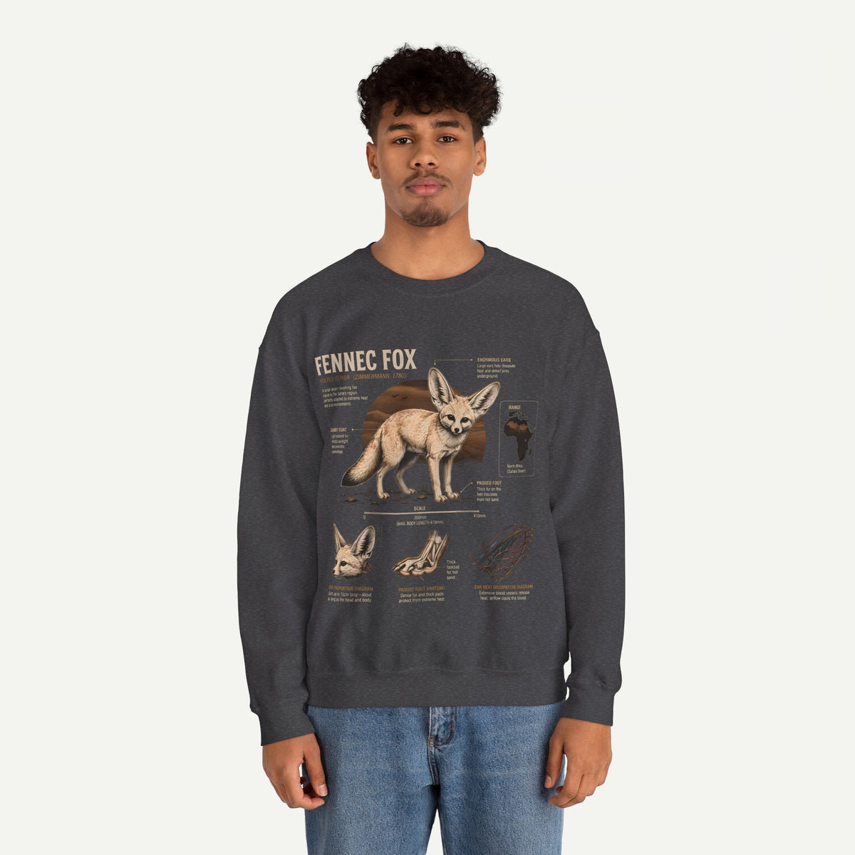 Fennec Fox Anatomy Sweatshirt – Wildlife Anatomy Crewneck