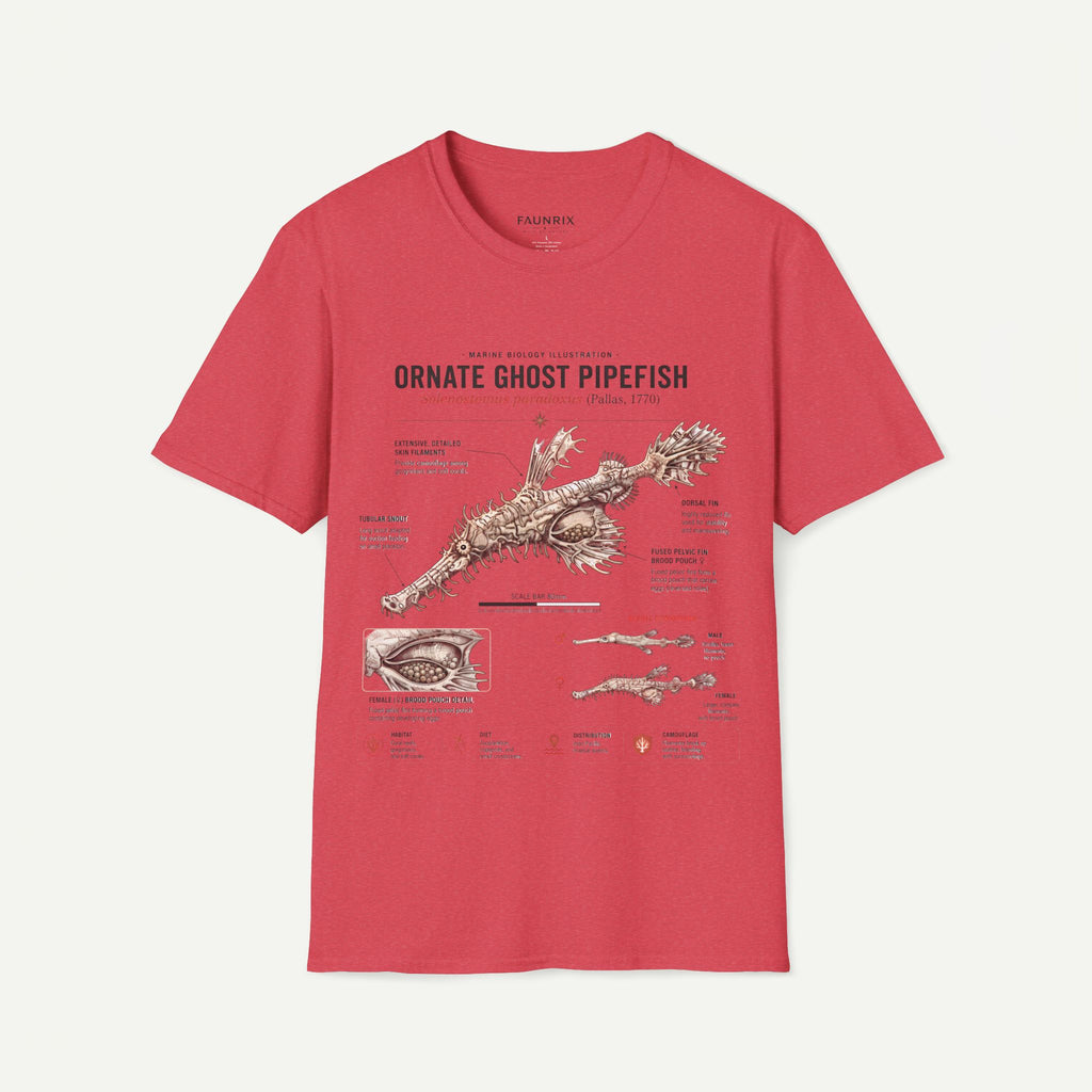 Ornate Ghost Pipefish Anatomy T-Shirt