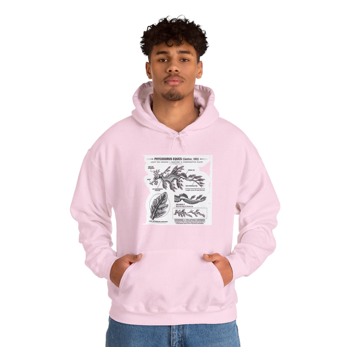 Botanical Anatomy Hoodie — Vintage Plant Diagram Sweatshirt