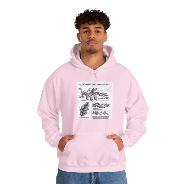 Botanical Anatomy Hoodie — Vintage Plant Diagram Sweatshirt