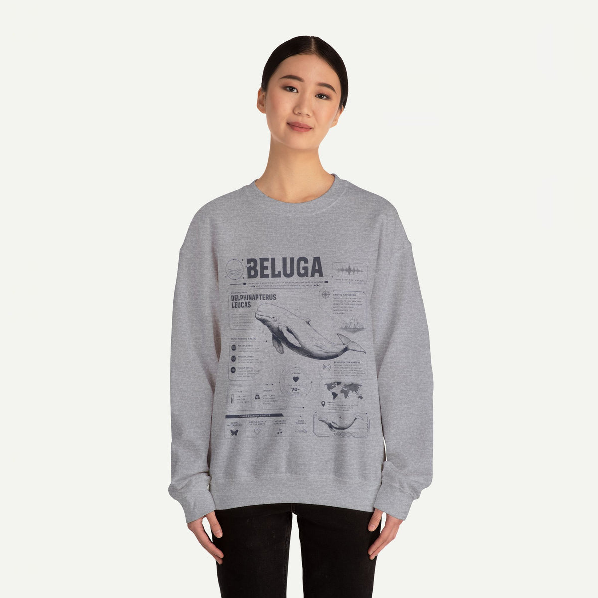 Beluga Whale Anatomy Sweatshirt