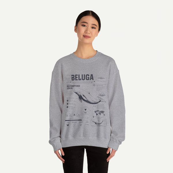 Beluga Whale Anatomy Sweatshirt