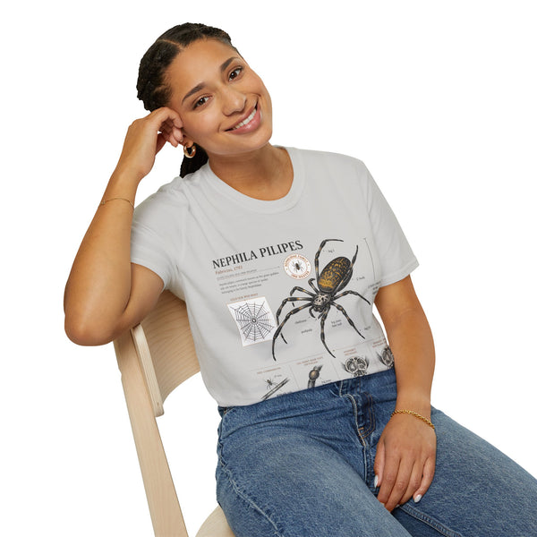 Spider Anatomy T-Shirt — Epephila Pilipis Scientific Illustration Tee