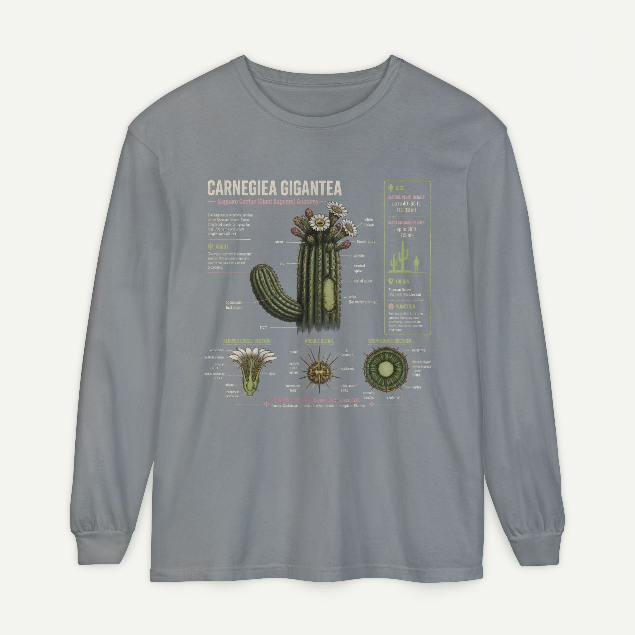 Saguaro Anatomy Long Sleeve Tee — Carnegiea Gigantea Cactus Diagram Secondary image