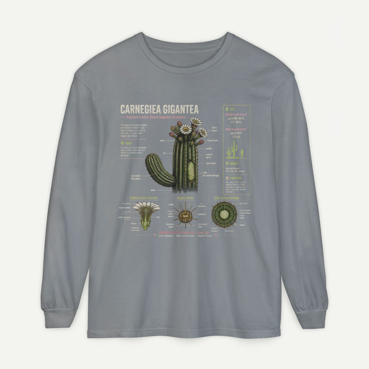 Saguaro Anatomy Long Sleeve Tee — Carnegiea Gigantea Cactus Diagram