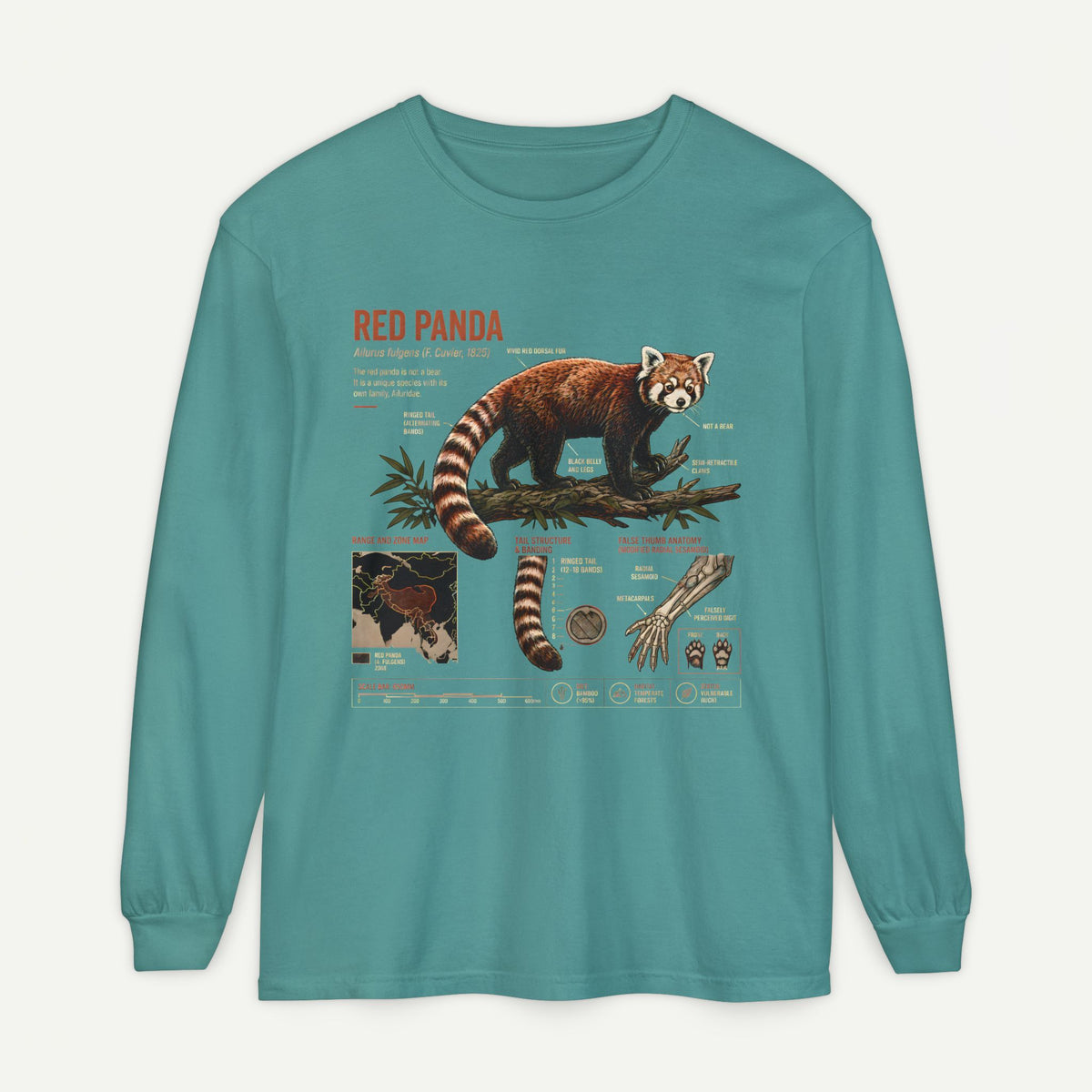 Red Panda Illustrated Long Sleeve Tee — Wildlife Field Guide Shirt