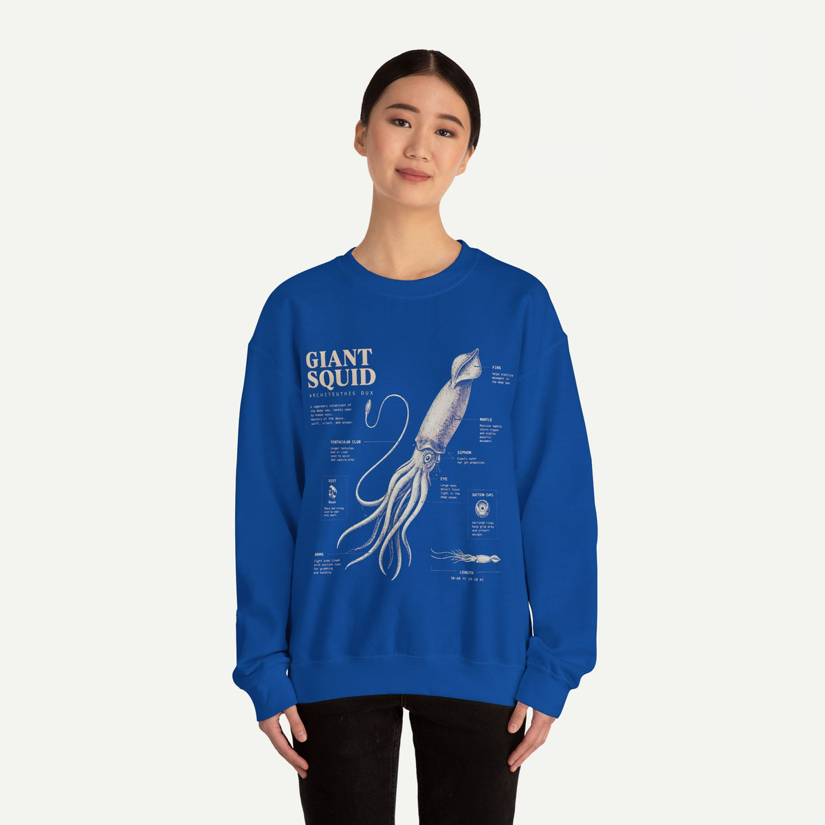 Giant Squid Anatomy Sweatshirt — Vintage Nautical Marine Biology Crewneck