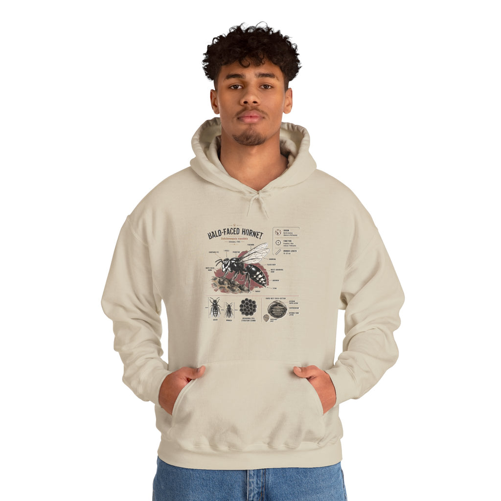 Bee Anatomy Hoodie — Bald-Faced Hornet Illustration & Diagram Sweatshirt