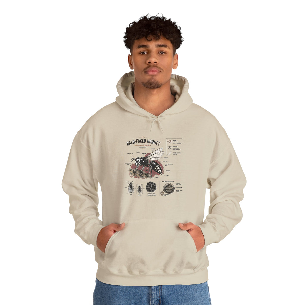 Bee Anatomy Hoodie — Bald-Faced Hornet Illustration & Diagram Sweatshirt