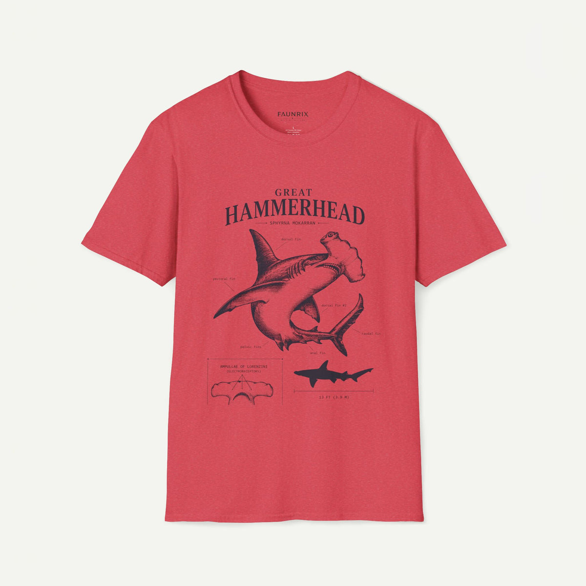 Hammerhead Shark Anatomy Tee — Vintage Great Hammerhead Graphic T-Shirt Main image
