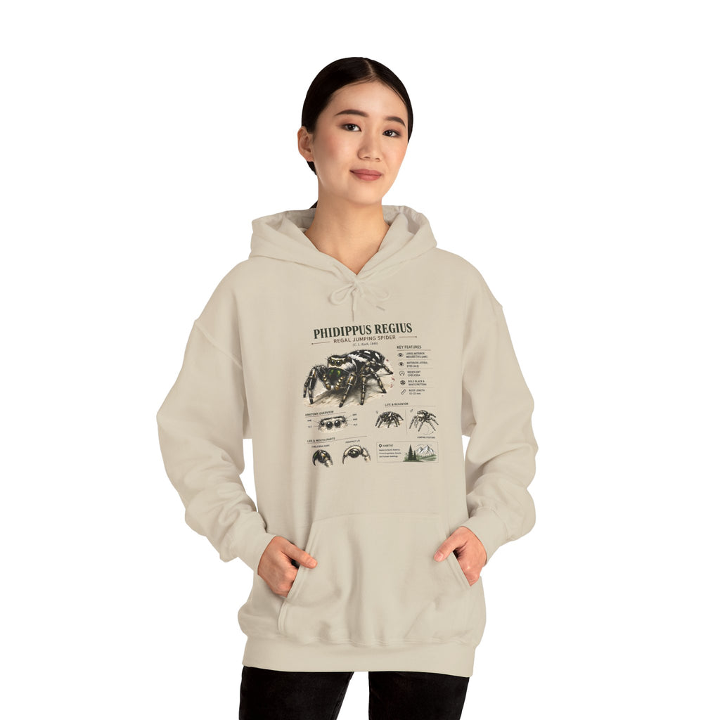 Tarantula Species Hoodie — Phidippus Regius Educational Spider Sweatshirt