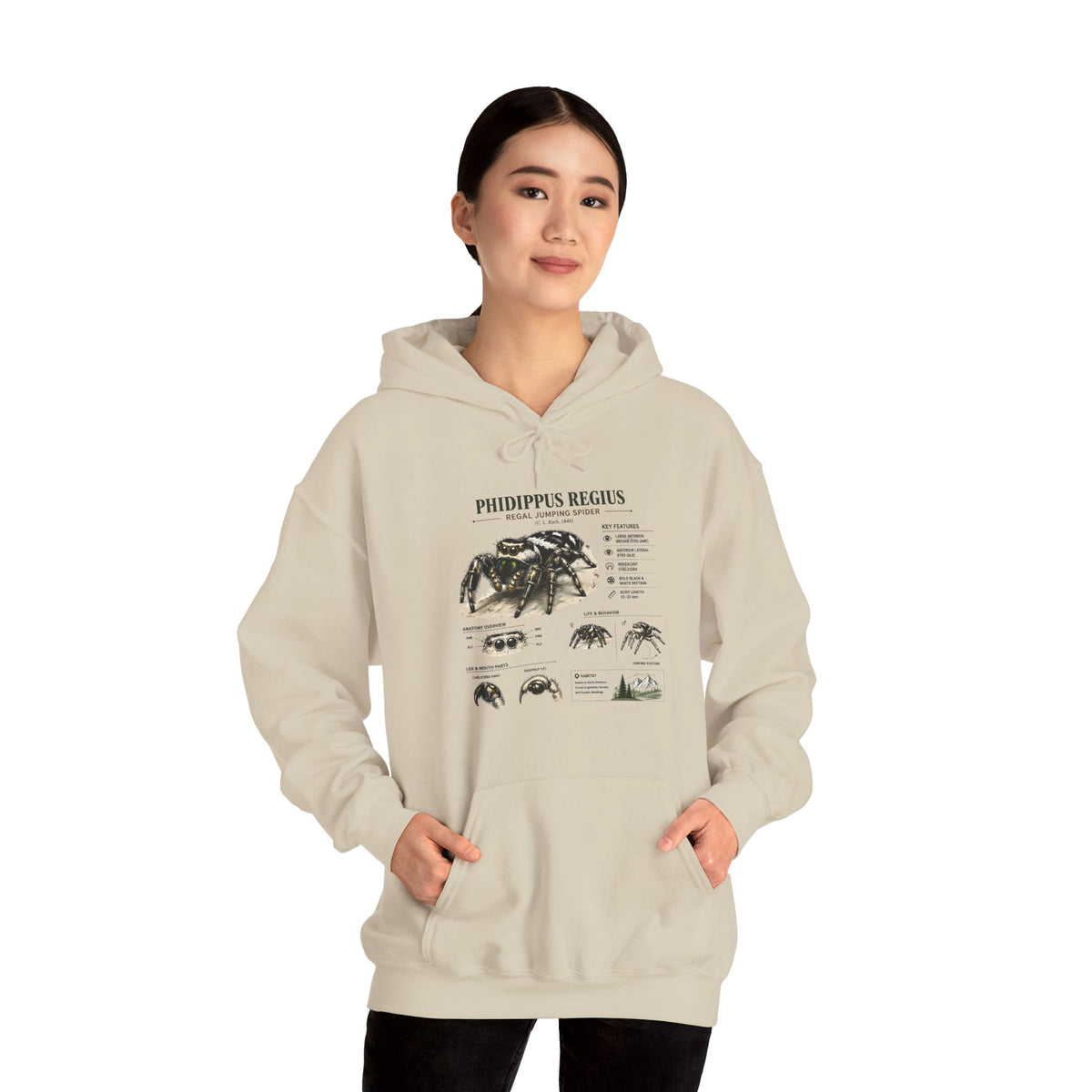 Tarantula Species Hoodie — Phidippus Regius Educational Spider Sweatshirt